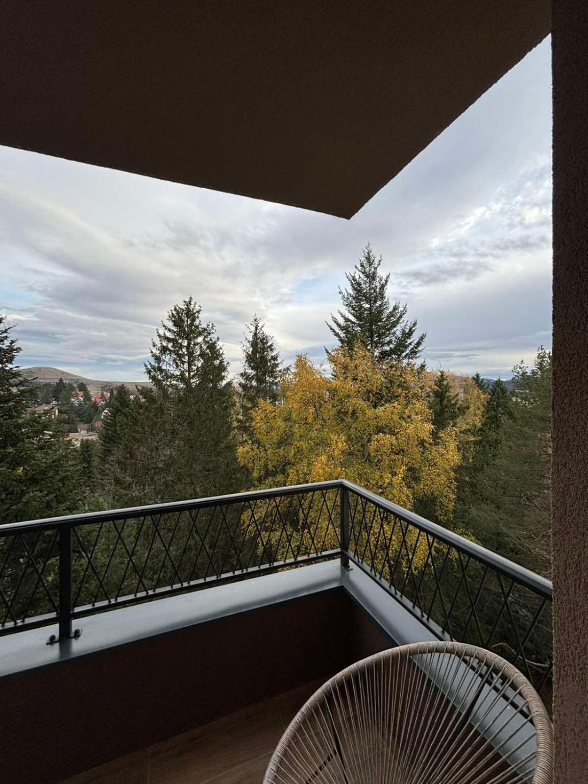 Zlatiborske Terase Spa&Wellness Экстерьер фото